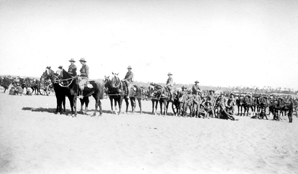 “Wagon team, 1915”. University of Melbourne Archives, Joseph Bishop and family collection